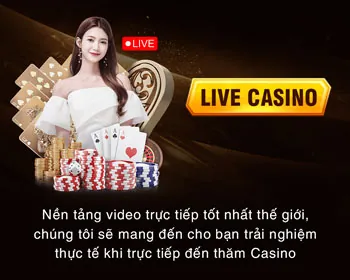 Đá Gà BK8VAO