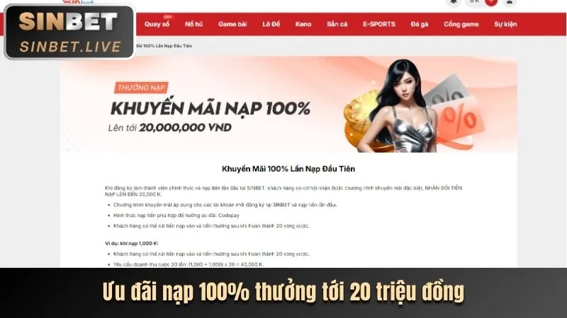 Hoàn trả hàng ngày BK8VAO